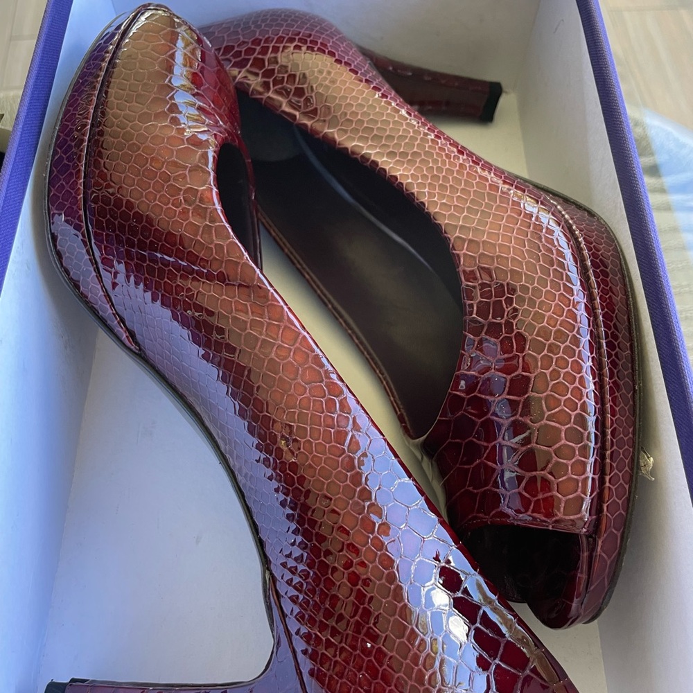 [ Stewart Weitzman ] Nude Snake Pump Vino Crystal View 4